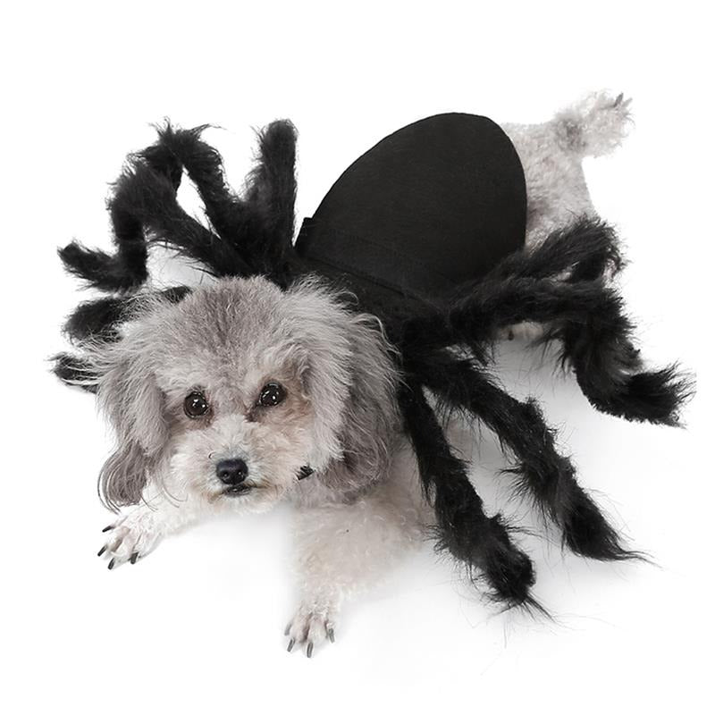 Spinnenkostüm | für Hunde und Katzen