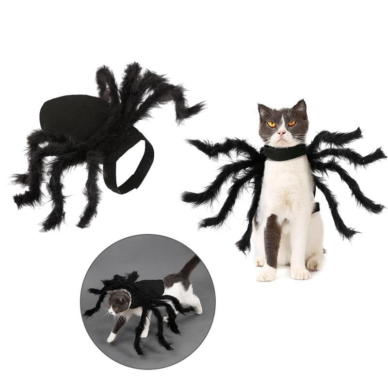 Spinnenkostüm | für Hunde und Katzen