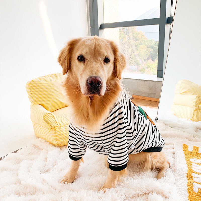 Pet Baker™ Hoodie | Clothing for Dogs