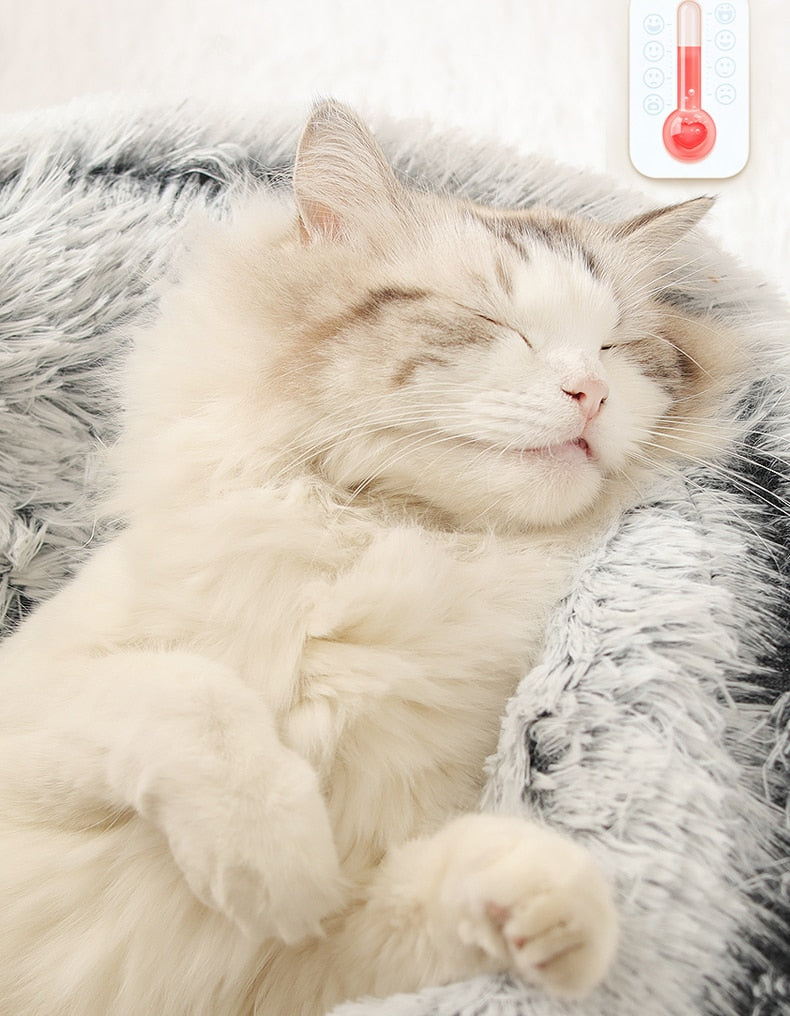 Cloud Hood | For Dogs and Cats