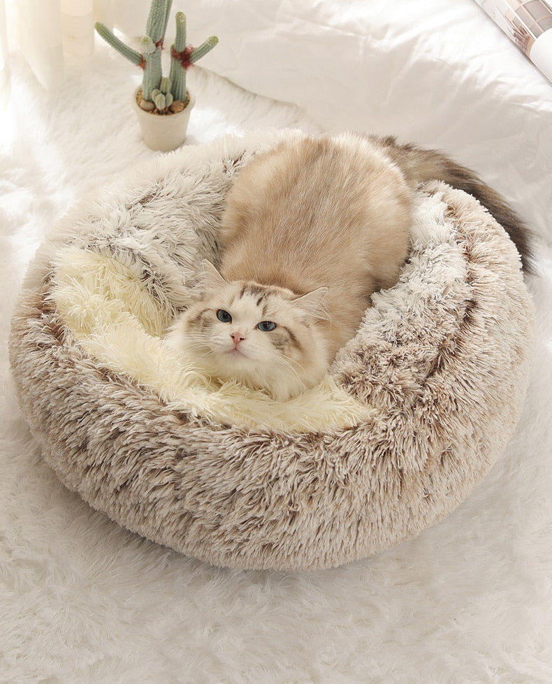Cloud Hood | For Dogs and Cats