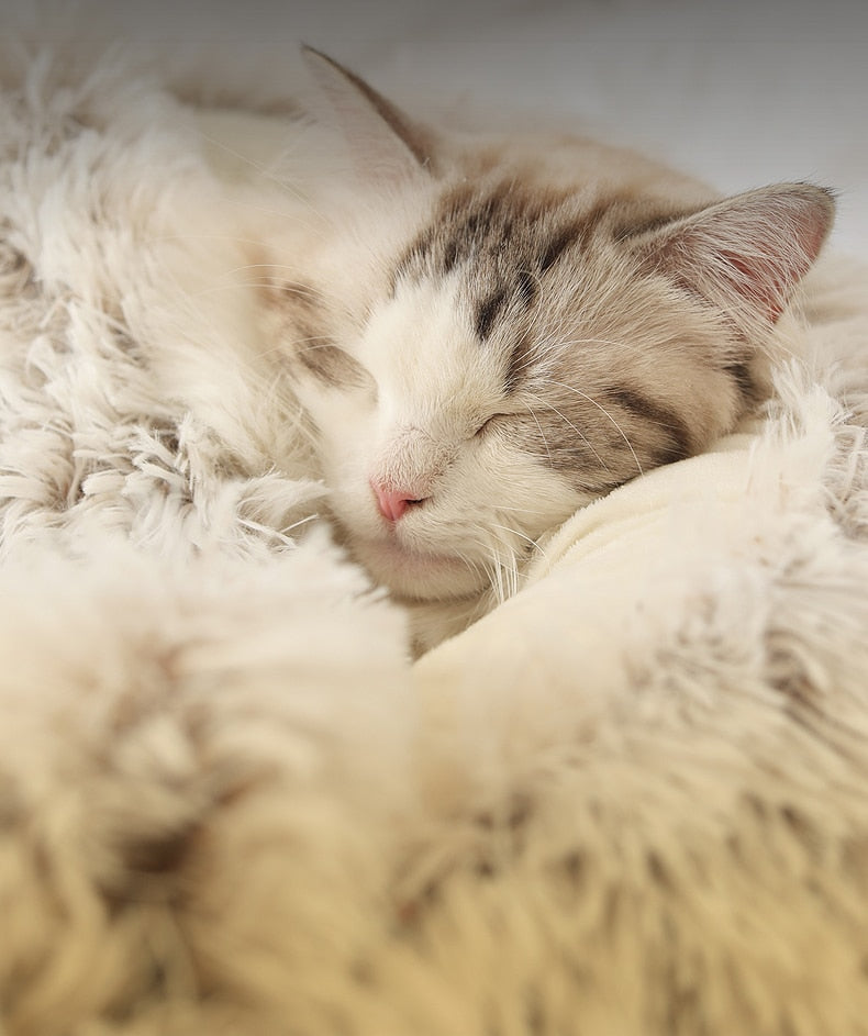 Cloud Hood | For Dogs and Cats