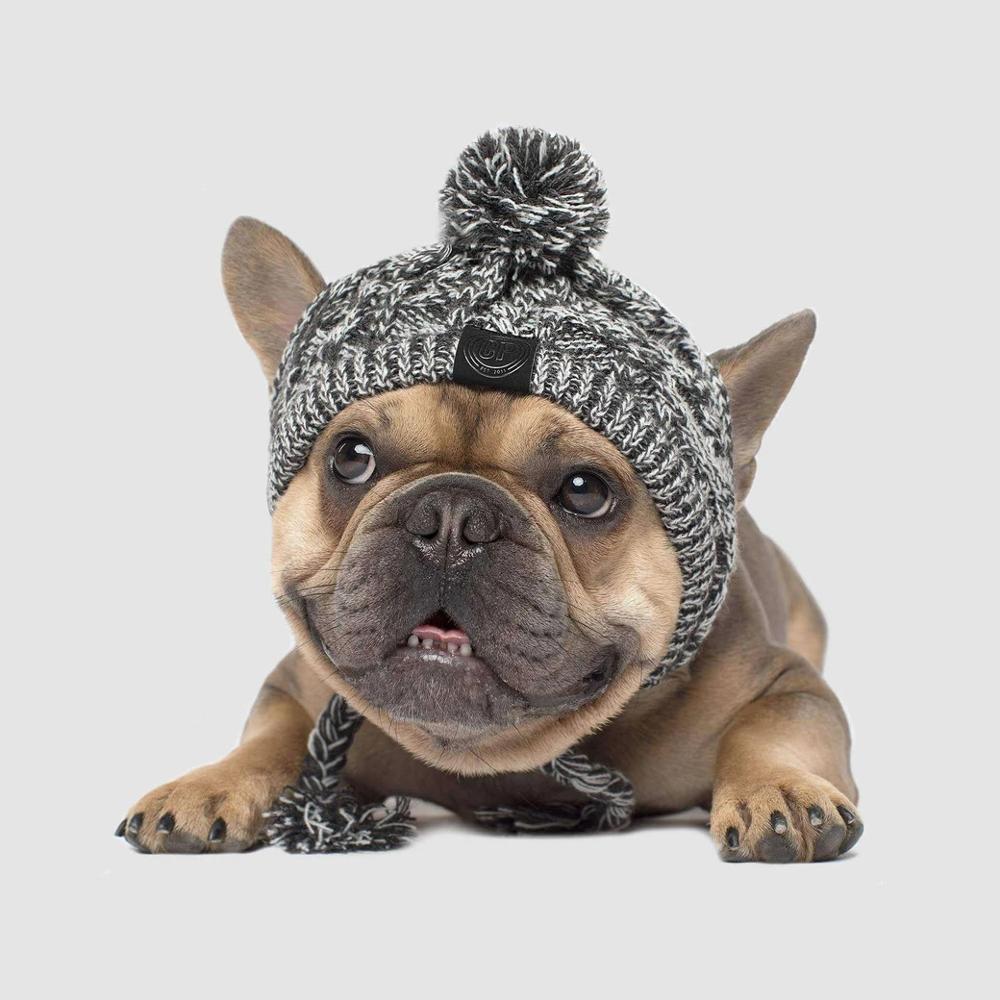 Chapeau pour animaux | Pour chiens et chats