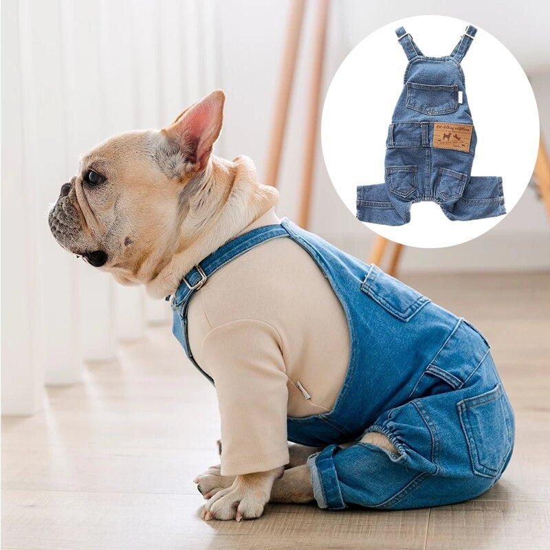 Salopette en jean | Pour chiens