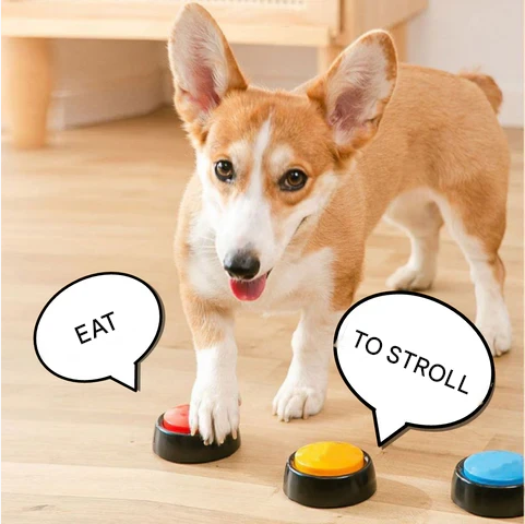 Teach Your Pet to Speak - Recordable Buttons | For Dogs