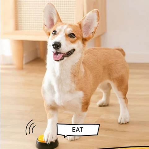 Teach Your Pet to Speak - Recordable Buttons | For Dogs