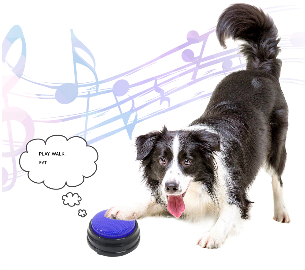 Teach Your Pet to Speak - Recordable Buttons | For Dogs
