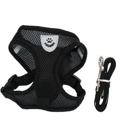 Harness for Cats