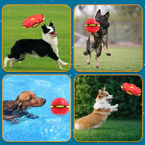 Pet Ball Flying Ball for Dogs