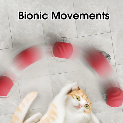 Eptchn smart chase pet toy ball|Cats and Pets