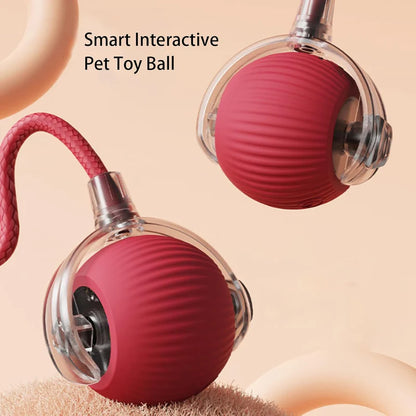 Eptchn smart chase pet toy ball|Cats and Pets