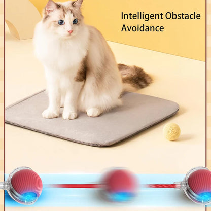 Eptchn smart chase pet toy ball|Cats and Pets