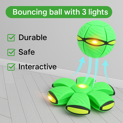 Pet Ball Flying Ball for Dogs