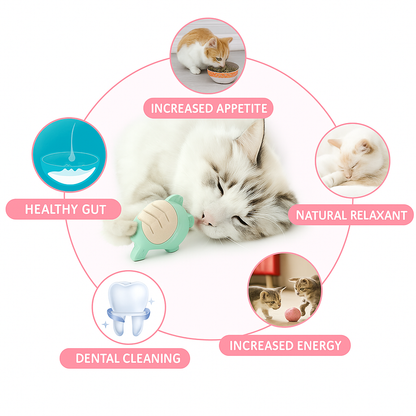 Catnip Ice Cream | For Cats