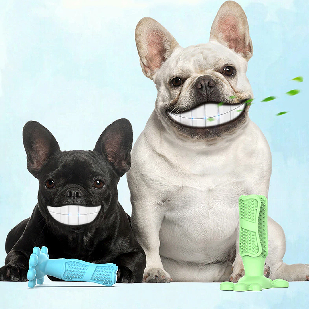 EcoBrush Dog Toothbrush