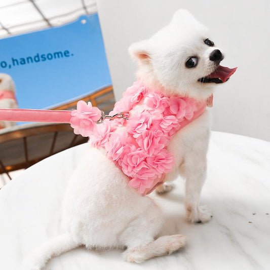 Spring Harness | For Dogs and Cats