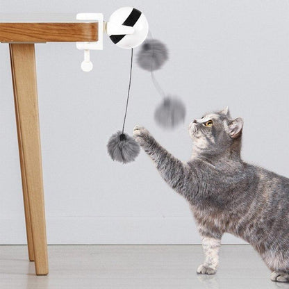 Interactive Toy for Cats