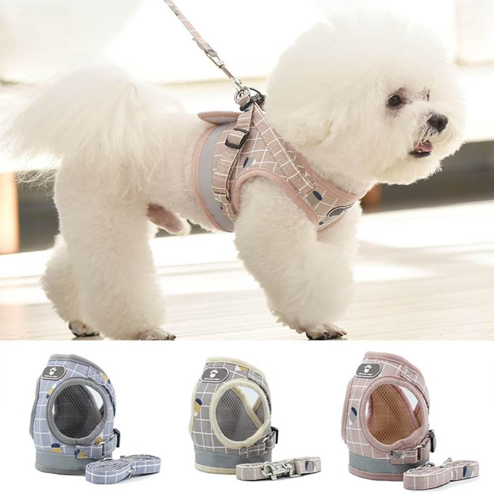 Munich Harness | For Dogs and Cats