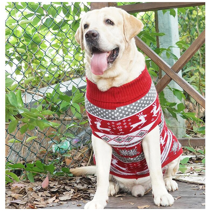 Christmas Pet Knit | For Dogs and Cats