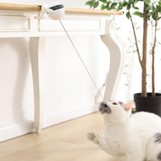 Interactive Toy for Cats