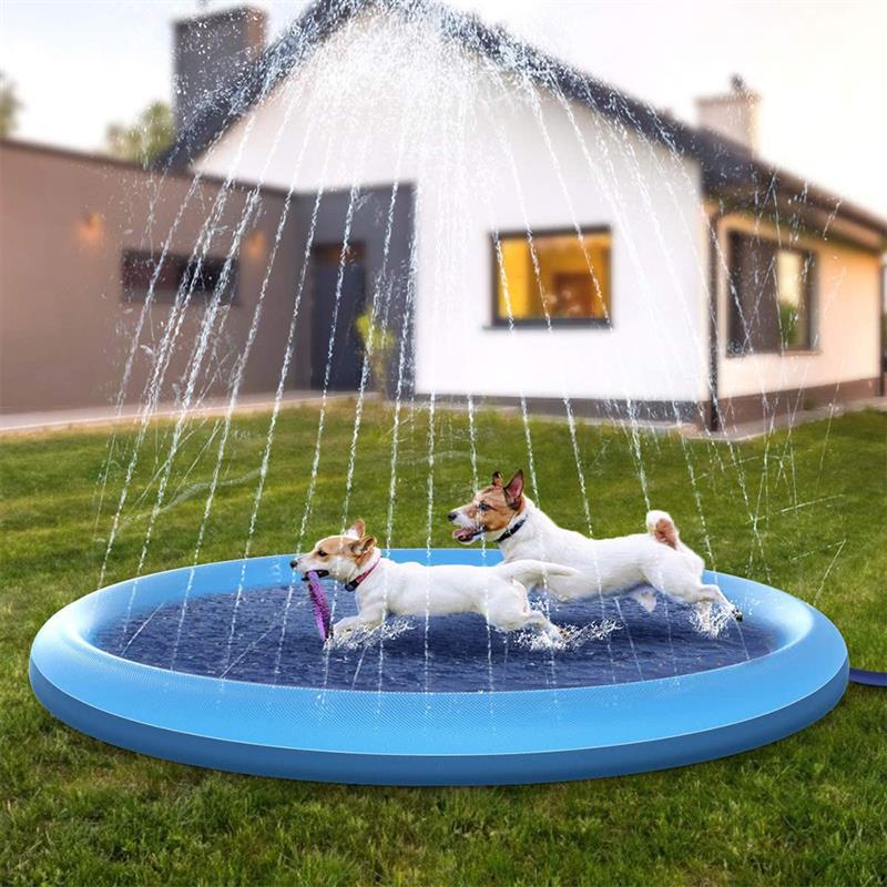 Swimming Pool with Fountain | For Dogs