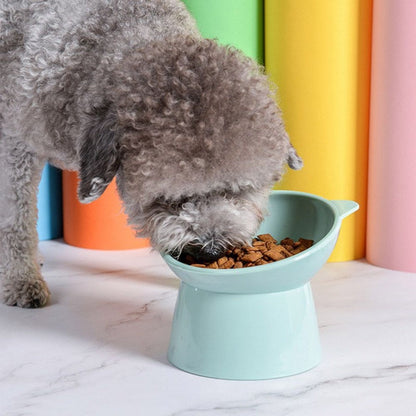 Colorful Elevated Bowl | For Dogs and Cats