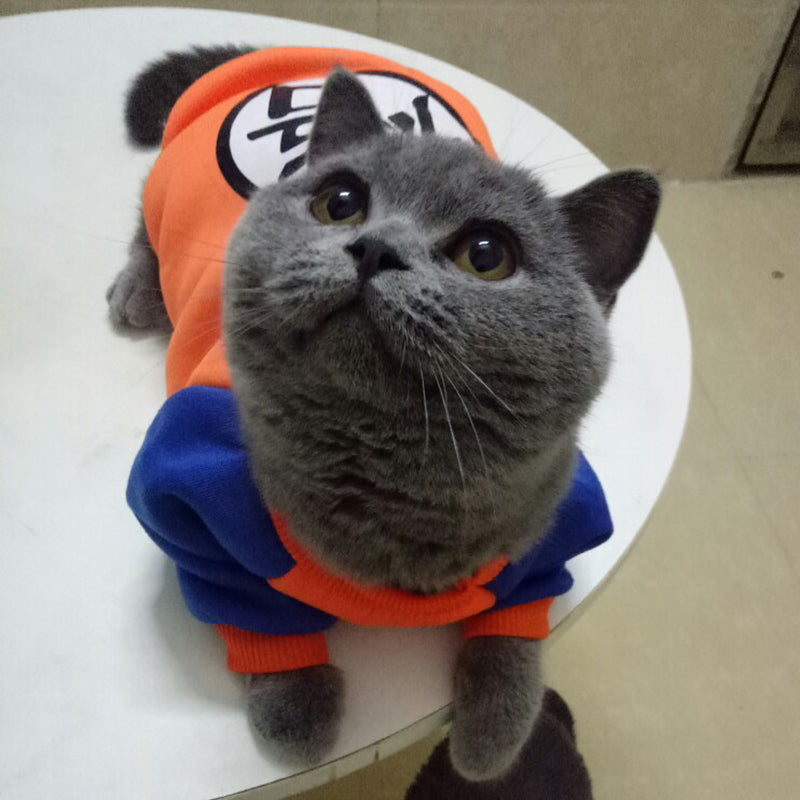 Moletom Pet Goku™ | Clothing For Cats