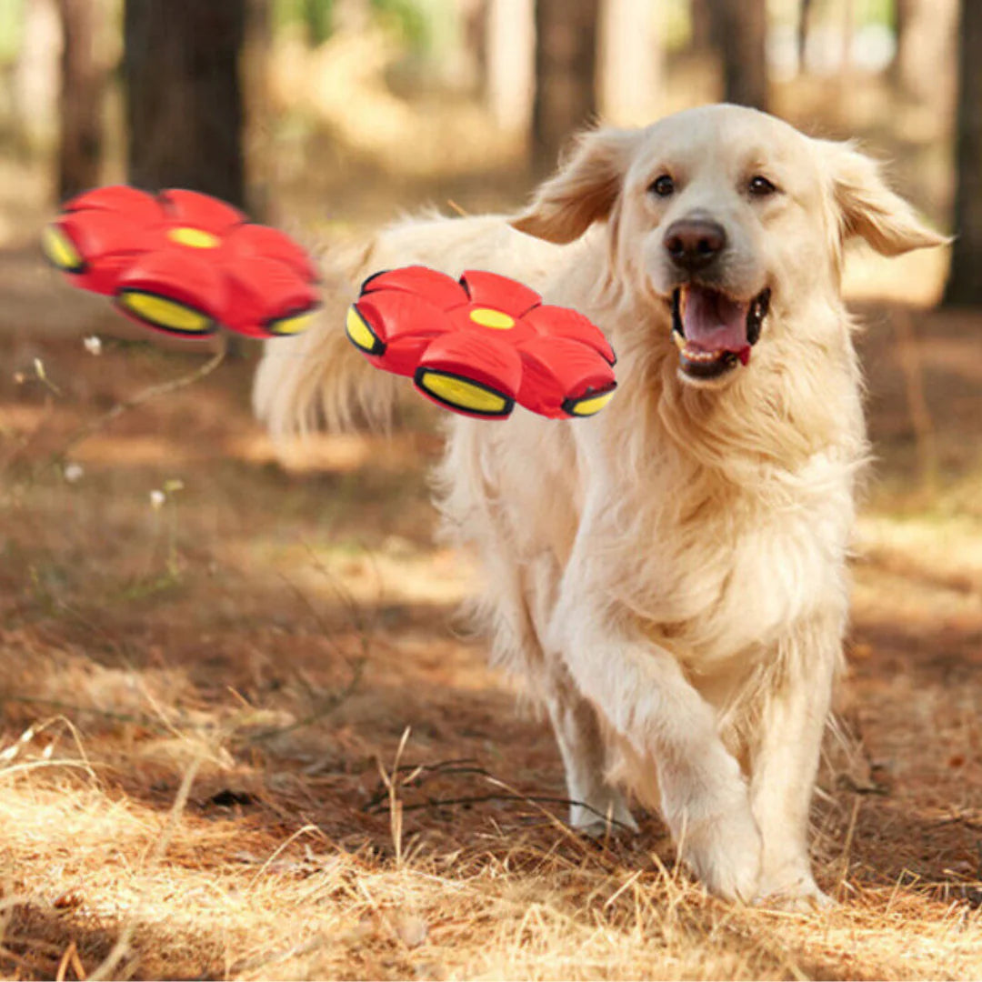 Pet Ball Flying Ball for Dogs