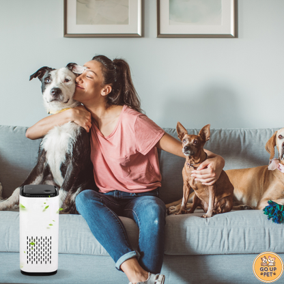 AIR PURIFIER