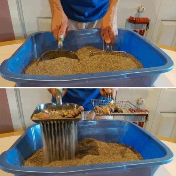 Cat Toilet Scoop