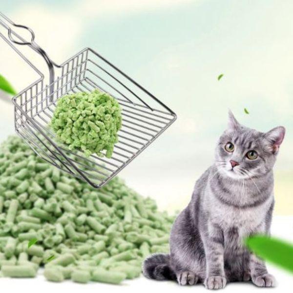 Cat Toilet Scoop