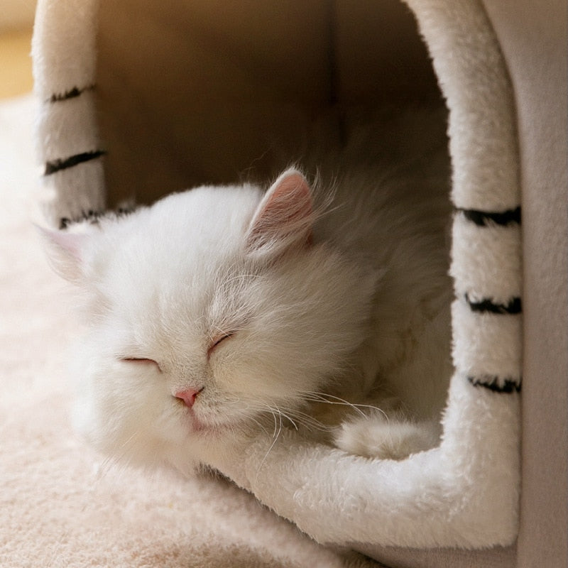 Pet Mansion | For Dogs and Cats