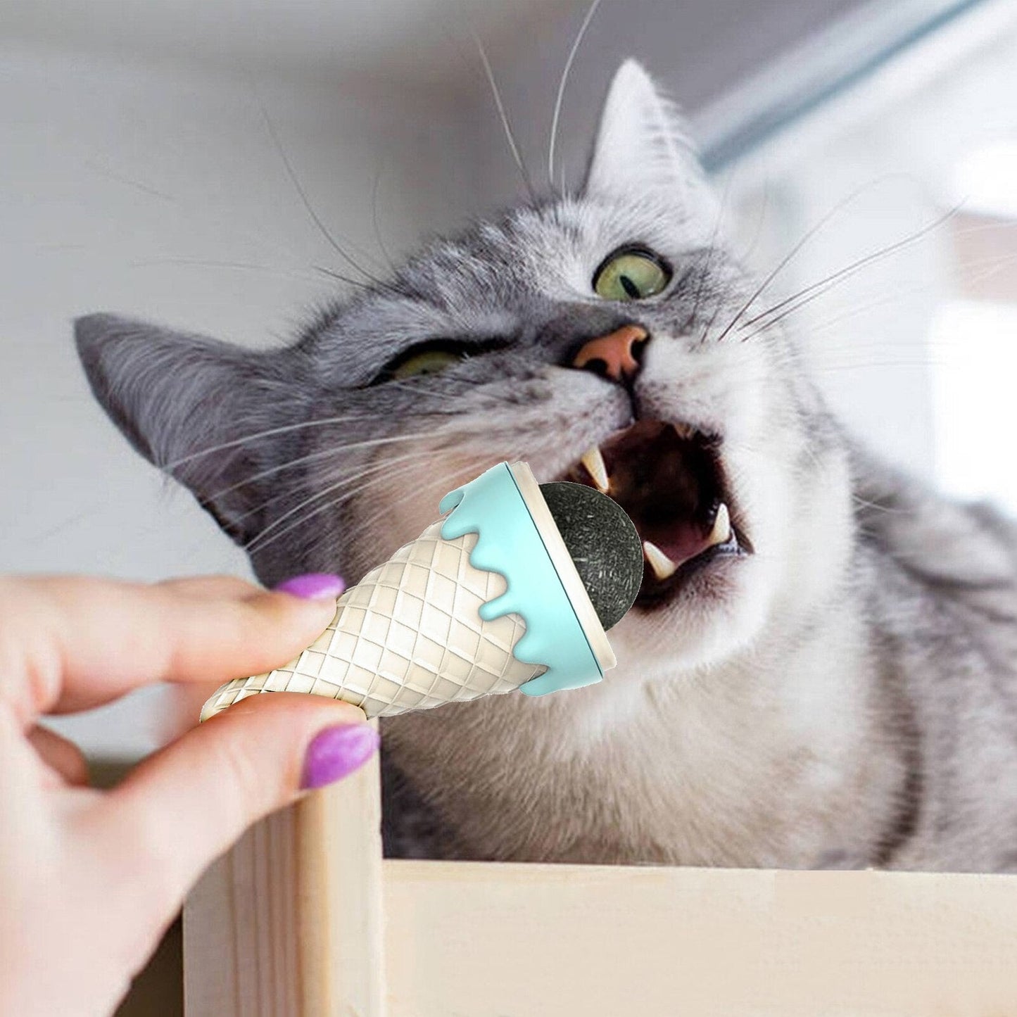 Catnip Ice Cream | For Cats