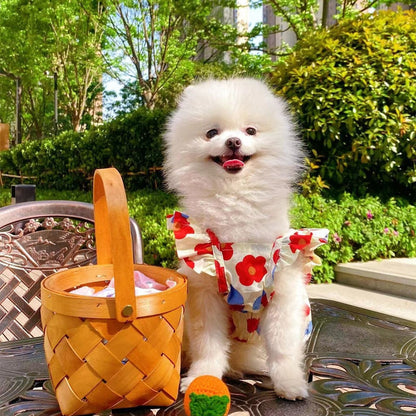 Peasant Pet Dress | For Dogs and Cats