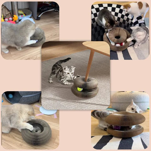 Cat Scratcher | Cat Joy + 1 Bonus Ball