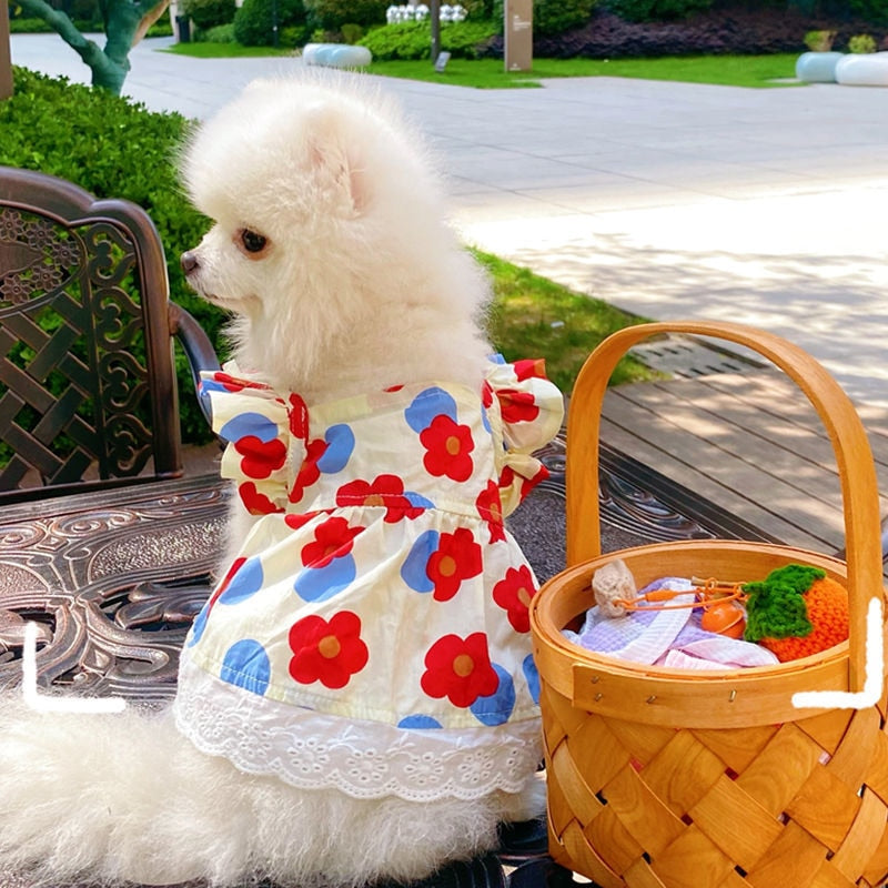 Peasant Pet Dress | For Dogs and Cats