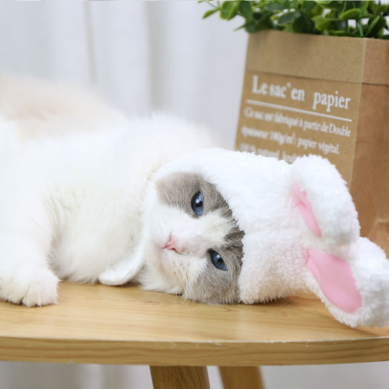 Hasenohrenmütze | Für Hunde und Katzen