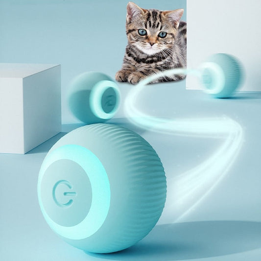 Smart Ball for Pets - The Intelligent Ball