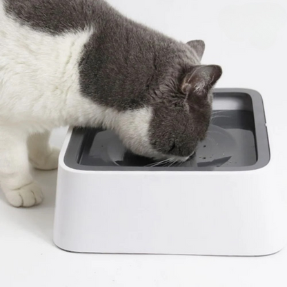 Smart Anti-Splash Pet Water Dispenser| Dogs and Cats