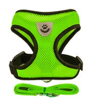 Harness for Cats