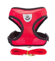 Harness for Cats