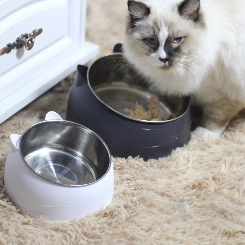 Tilted Bowl | For Cats