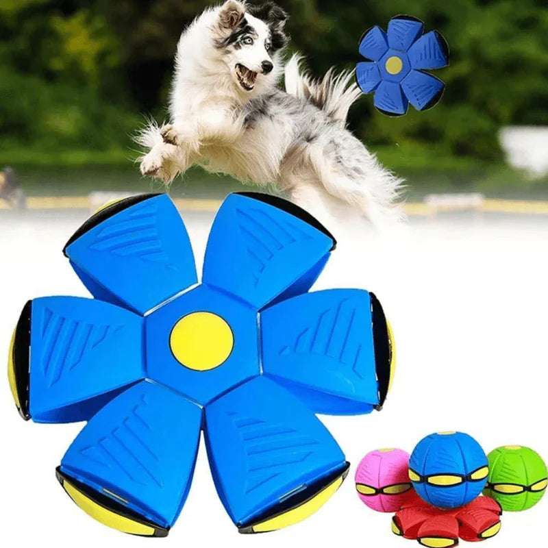 Pet Ball Flying Ball for Dogs