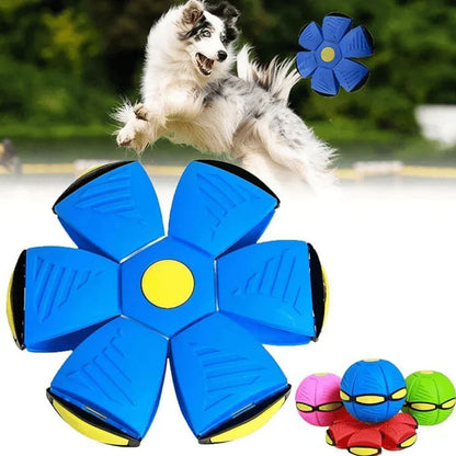 Pet Ball Flying Ball for Dogs