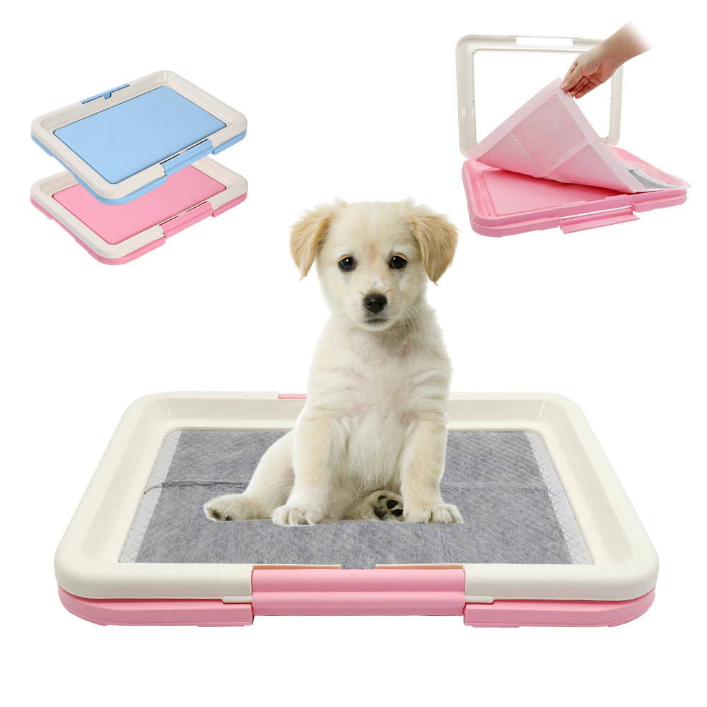 Fixateur de tapis hygiénique | Pour chiens
