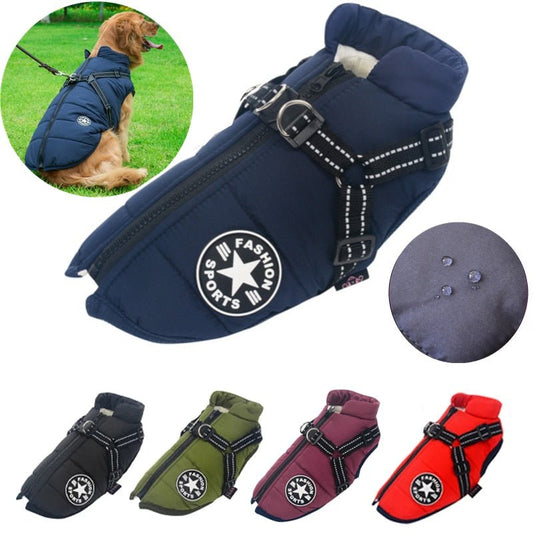 Pet Windbreaker Vest Jones™ | Dog Clothing