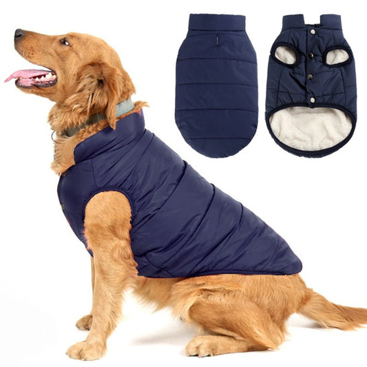 Steve™ Pet Vest | Dog Clothing