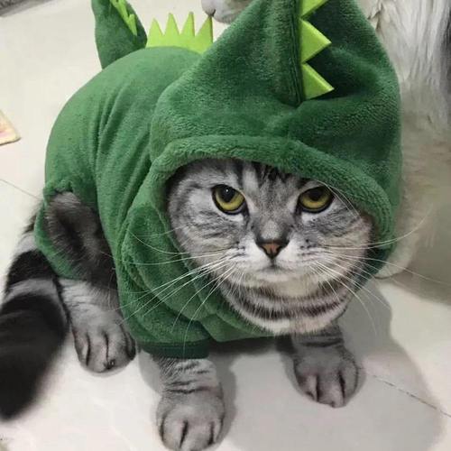 Costume de dinosaure pour animaux de compagnie | Pour chiens et chats