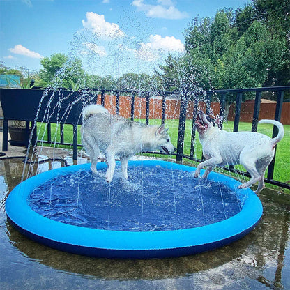 Swimming Pool with Fountain | For Dogs