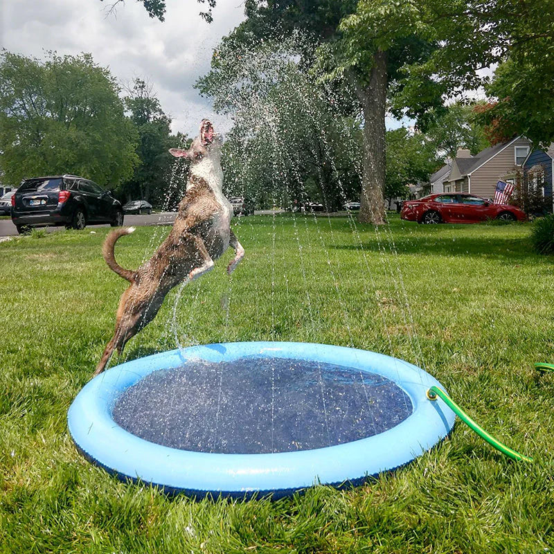 Swimming Pool with Fountain | For Dogs